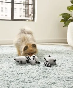 Frisco Hide & Seek Raccoon Dog Toy Refills, 3-pack -PetNest Shop 174766 PT2. SY630 V1573492789