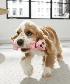 Frisco Latex Squeaky Puppy Toy -PetNest Shop 174774 PT2. SY630 V1573492803