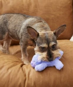 Frisco Plush Squeaking Hippo Dog Toy -PetNest Shop 175407 PT2. SY630 V1573492808