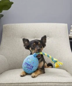 Frisco Birthday Balloon Dog Toy -PetNest Shop 177805 PT2. SY630 V1573492815
