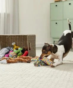 Frisco Rope, Plush, & TPR Bundle Dog Toy, 10-Pack -PetNest Shop 177846 PT2. SY630 V1573143782