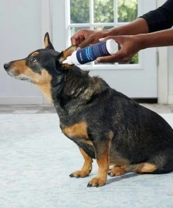 Frisco Advanced Dog, Cat & Horse Ear Cleanser, 8-oz bottle -PetNest Shop 178703 PT3. SY630 V1581460105