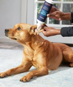 Frisco Antiseptic Dog, Cat & Horse Ear Flush Rinse -PetNest Shop 178705 PT3. SY630 V1582124328