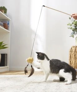 Frisco Sparkle Ball Glitter Teaser Cat Toy 9 Frisco Sparkle Ball Glitter Teaser Cat Toy -PetNest Shop 183254 PT3. SY630 V1573748308