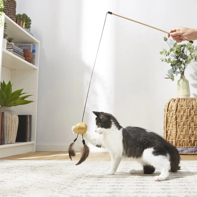 Frisco Sparkle Ball Glitter Teaser Cat Toy 6 Frisco Sparkle Ball Glitter Teaser Cat Toy - Image 4