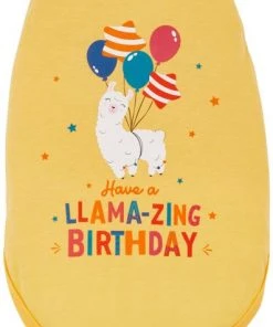 Frisco Llama-zing Birthday Dog & Cat T-Shirt -PetNest Shop 191240 PT2. SY630 V1582053523