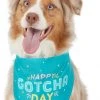 Frisco Happy Gotcha Day Dog & Cat Bandana -PetNest Shop 191247 MAIN. SY630 V1633084319
