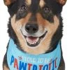 Frisco Pawtriot Dog & Cat Bandana -PetNest Shop 191277 Main. SY630 V1584623866
