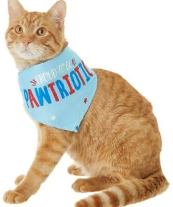 Frisco Pawtriot Dog & Cat Bandana -PetNest Shop 191277 PT2. SY630 V1584623825