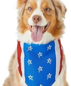Frisco Stars & Stripes Dog & Cat Bandana -PetNest Shop 191288 PT3. SY630 V1632420375