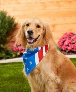 Frisco Stars & Stripes Dog & Cat Bandana -PetNest Shop 191288 PT4. SY630 V1632423083