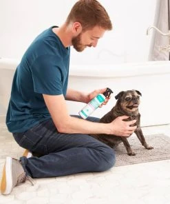 Frisco Aloe Hydrating Dog & Cat Spray, Sweet Nectar Scent 8 Frisco Aloe Hydrating Dog & Cat Spray, Sweet Nectar Scent -PetNest Shop 192084 PT3. SY630 V1585321073