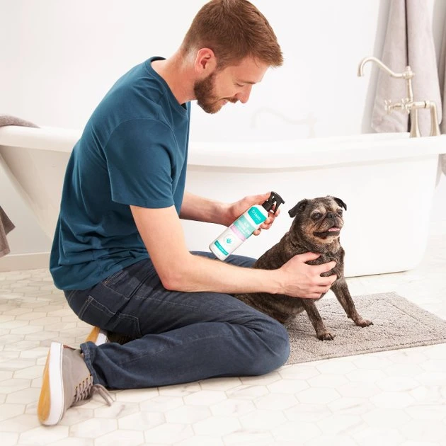 Frisco Aloe Hydrating Dog & Cat Spray, Sweet Nectar Scent 5 Frisco Aloe Hydrating Dog & Cat Spray, Sweet Nectar Scent - Image 3