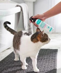 Frisco Aloe Hydrating Dog & Cat Spray, Sweet Nectar Scent 9 Frisco Aloe Hydrating Dog & Cat Spray, Sweet Nectar Scent -PetNest Shop 192084 PT4. SY630 V1589487682