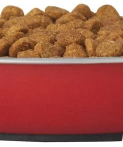 Frisco Heavy Duty Non-Skid Saucer Cat Bowl -PetNest Shop 204461 PT2. SY630 V1598449859