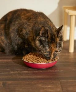 Frisco Heavy Duty Non-Skid Saucer Cat Bowl -PetNest Shop 204461 PT6. SY630 V1599082292