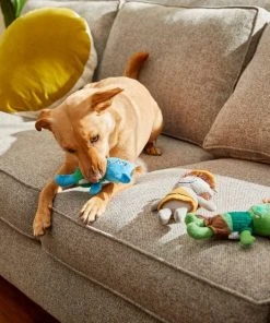 Frisco Mythical Mates Troll Plush Squeaking Dog Toy 7 Frisco Mythical Mates Troll Plush Squeaking Dog Toy -PetNest Shop 204513 PT2. SY630 V1583271249