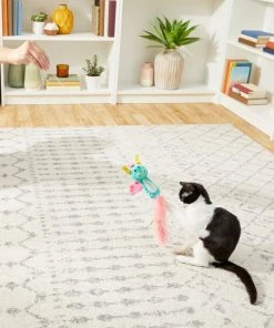 Frisco Mythical Mates Bouncy Dragon Teaser Crinkle Cat Toy with Catnip -PetNest Shop 204539 PT2. SY630 V1583271502