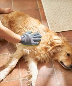 Frisco Dog & Cat Grooming Glove, Right Hand -PetNest Shop 206845 PT5. SY630 V1610766425