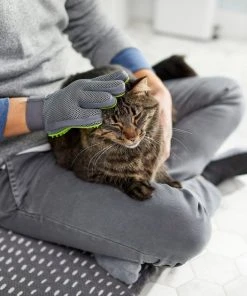 Frisco Dog & Cat Grooming Glove, Right Hand -PetNest Shop 206845 PT6. SY630 V1610762805