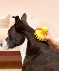 Frisco Rubber Duckie Dog & Cat Curry Brush -PetNest Shop 206849 PT7. SY630 V1600915945