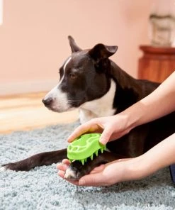 Frisco Bone Dog Curry Brush -PetNest Shop 206851 PT8. SY630 V1600915961