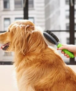 Frisco Cat & Dog Pin Bristle Brush -PetNest Shop 206855 PT8. SY630 V1600915965