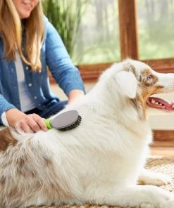 Frisco Cat & Dog Bristle Brush, One-Size -PetNest Shop 206859 PT8. SY630 V1600915880