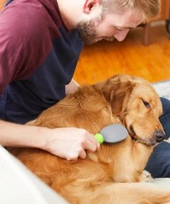 Frisco Cat & Dog Pin Brush, One-Size -PetNest Shop 206861 PT7. SY630 V1600915905