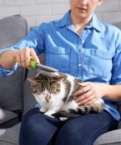 Frisco Cat & Dog Pin Brush, One-Size -PetNest Shop 206861 PT8. SY630 V1600915974