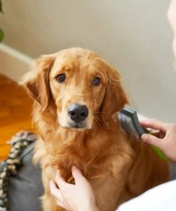 Frisco Self-Cleaning Slicker Dog Brush -PetNest Shop 206863 PT8. SY630 V1600915991