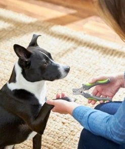 Frisco Dog Nail Trimmer -PetNest Shop 206877 PT8. SY630 V1600915891