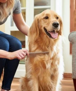 Frisco Metal Dog & Cat Comb -PetNest Shop 206882 PT7. SY630 V1600915920