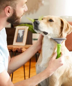Frisco Deshedding Dog & Cat Brush -PetNest Shop 206890 PT7. SY630 V1600915870