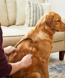 Frisco Shedding Blade Dog Brush, One Size -PetNest Shop 206895 PT7. SY630 V1600915940