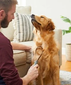 Frisco Shedding Blade Dog Brush, One Size -PetNest Shop 206895 PT8. SY630 V1600915985