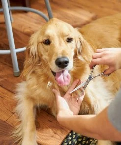 Frisco Curved-Tip Dog & Cat Shears -PetNest Shop 206897 PT8. SY630 V1600915989