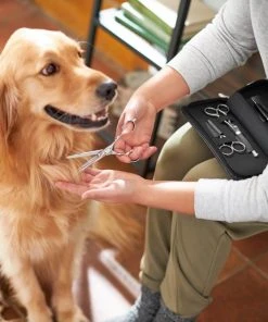 Frisco Dog & Cat Grooming Shears Kit 10 Frisco Dog & Cat Grooming Shears Kit -PetNest Shop 206903 PT4. SY630 V1604009923