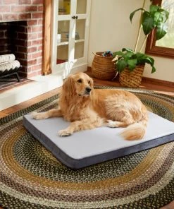 Frisco Cooling Orthopedic Pillow Dog Bed w/Removable Cover
