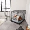 Frisco Fold & Carry Double Door Collapsible Wire Dog Crate & Mat Kit -PetNest Shop 212631 MAIN. SY630 V1598642778