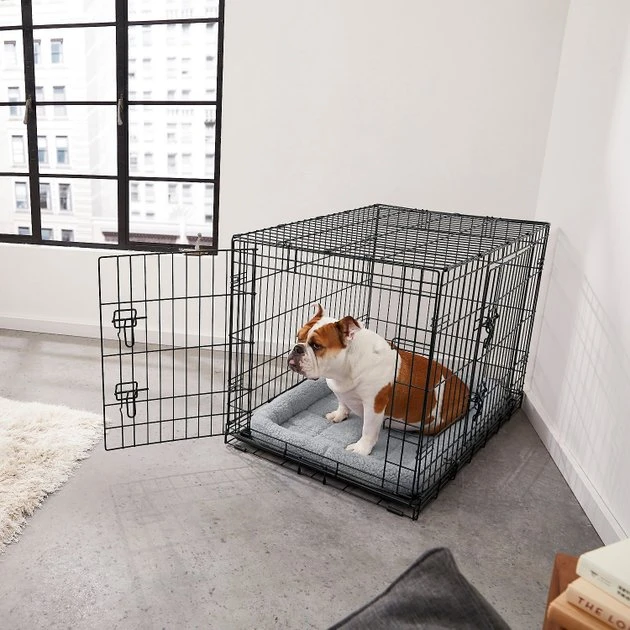 Frisco Fold & Carry Double Door Collapsible Wire Dog Crate & Mat Kit 3 Frisco Fold & Carry Double Door Collapsible Wire Dog Crate & Mat Kit