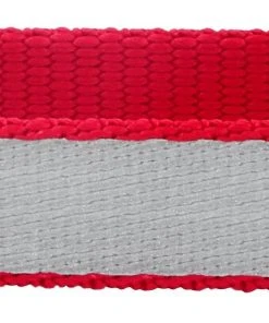 Frisco Solid Polyester Reflective Dog Collar -PetNest Shop 212775 PT2. SY630 V1581113576