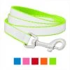 Frisco Solid Polyester Reflective Dog Leash