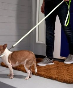 Frisco Solid Polyester Reflective Dog Leash -PetNest Shop 212812 PT4. SY630 V1581114493