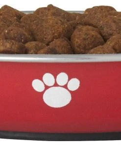 Frisco Heavy Duty Non-Skid Saucer Cat Bowl, Red Paw -PetNest Shop 213423 PT2. SY630 V1598449872