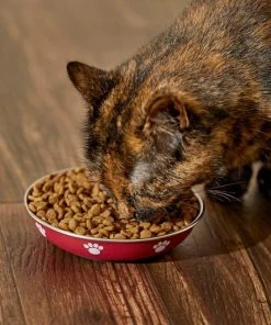 Frisco Heavy Duty Non-Skid Saucer Cat Bowl, Red Paw -PetNest Shop 213423 PT6. SY630 V1599082004