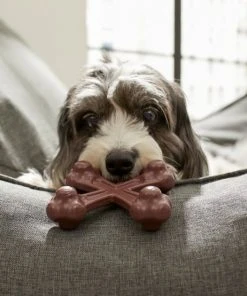 Frisco Bacon Flavor Tough Nylon Dog Chew Toy -PetNest Shop 213429 PT2. SY630 V1581715680