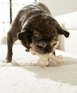 Frisco Chicken Flavor Tough Nylon Dog Chew Toy -PetNest Shop 213432 PT2. SY630 V1581715692