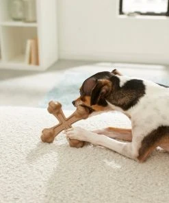 Frisco Peanut Butter Flavor Tough Nylon Dog Chew Toy -PetNest Shop 213435 PT2. SY630 V1581715702