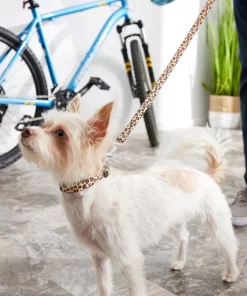 Frisco Leopard Print Polyester Dog Leash -PetNest Shop 213759 PT4. SY630 V1628029580